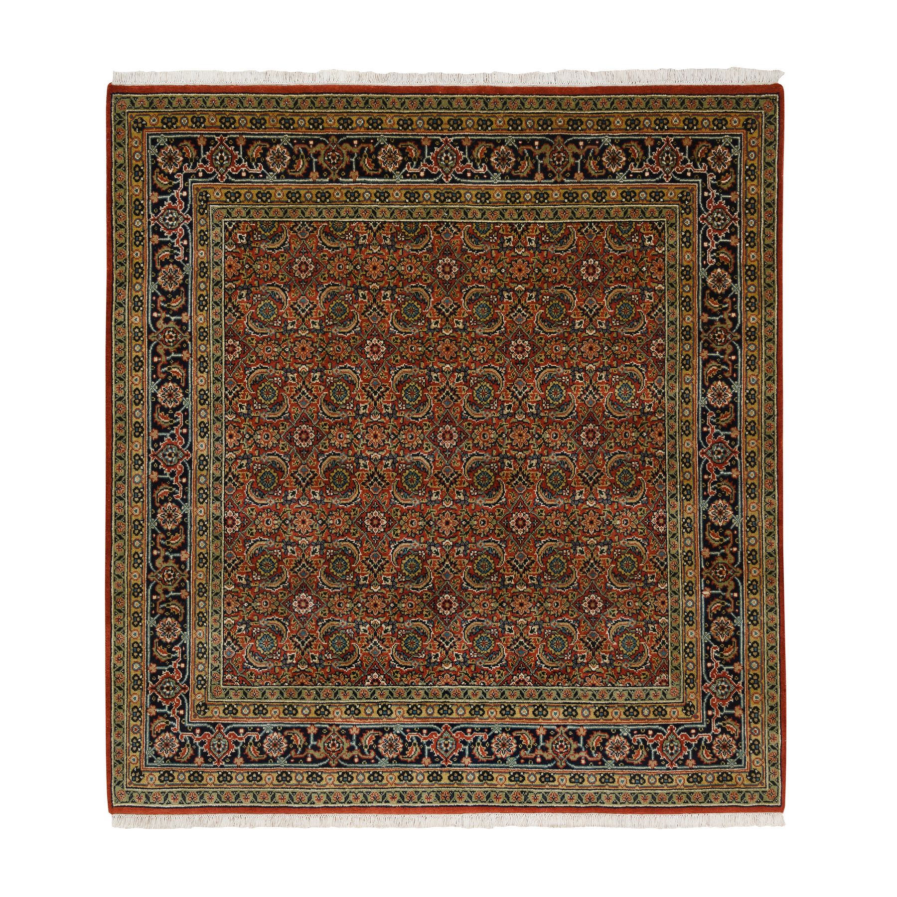 Traditional Rugs LUV569871